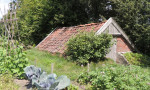Aardappelkelder